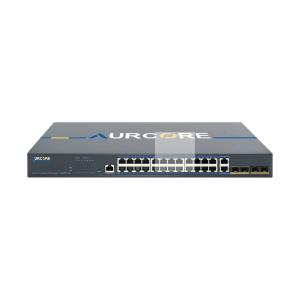 AES2002P